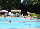 IMG 1349