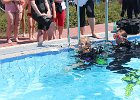 IMG 1481