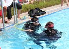 IMG 1555