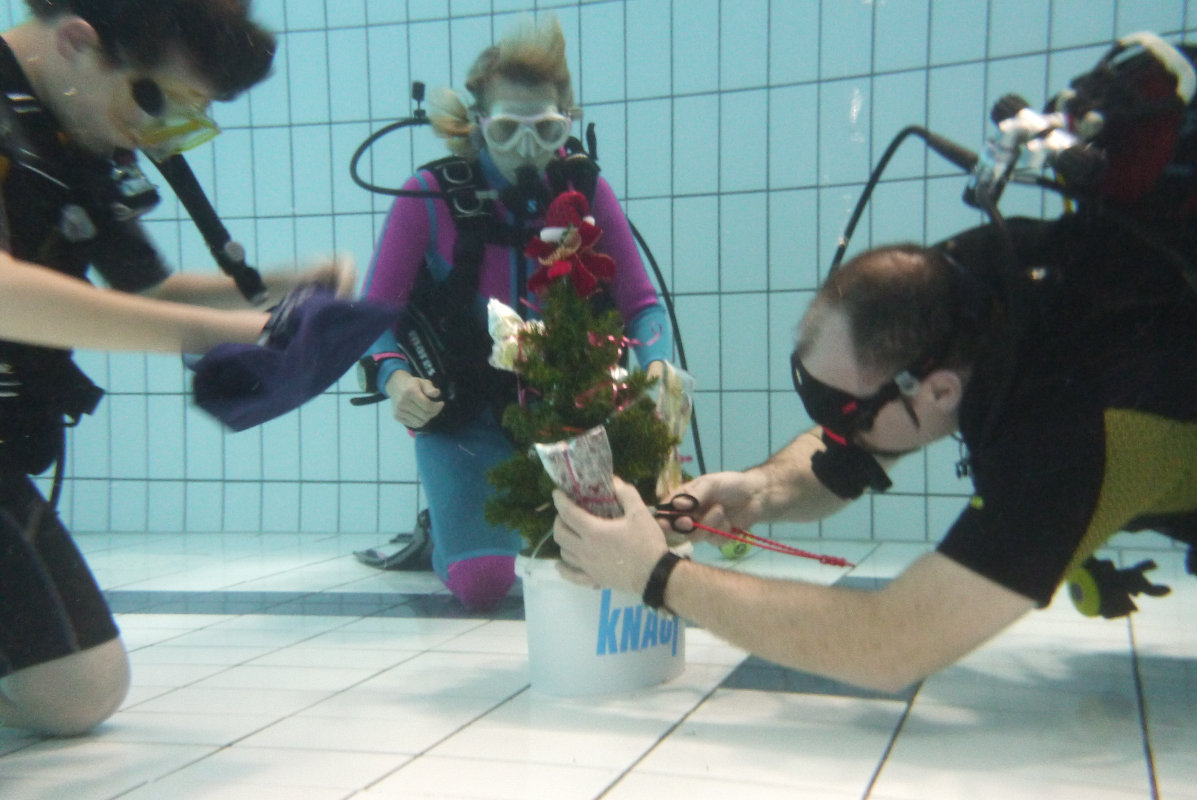 WeihnachtsbaumHallenbad245