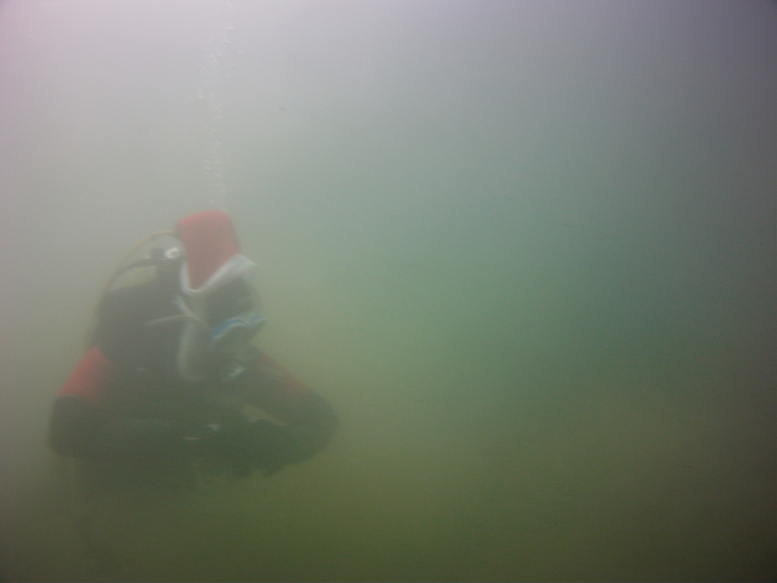 Weihnachtsbaum2015 691