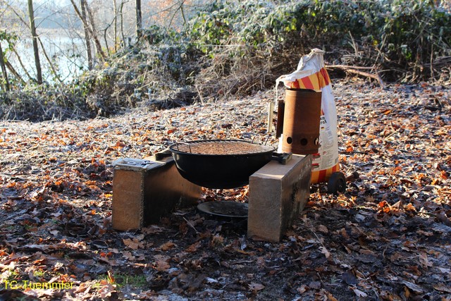 Weihnchtsbaumversenke 2388