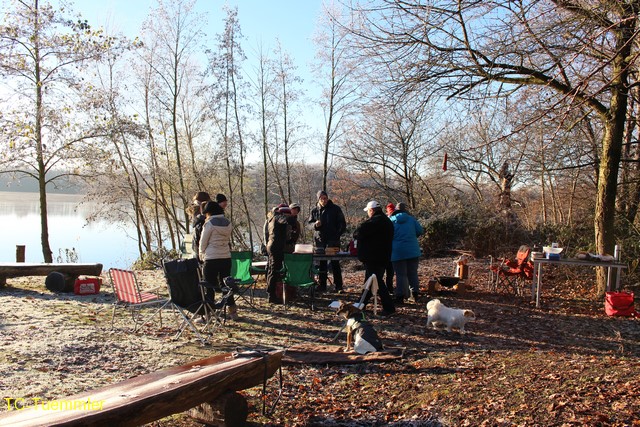 Weihnchtsbaumversenke 2394