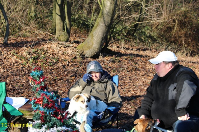 Weihnchtsbaumversenke 2465