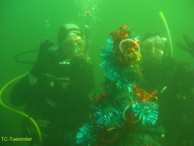 Weihnchtsbaumversenke 3718