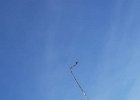 IMG-20181008-WA0003