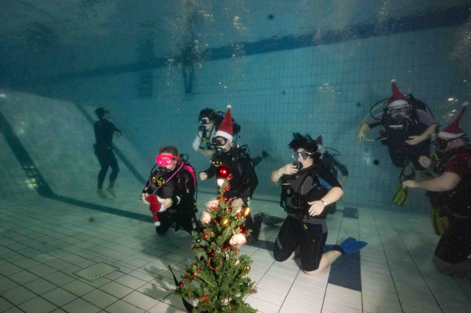 IMG-20241222-WA0045