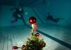 IMG-20241222-WA0085