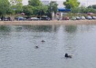 IMG-20250712-WA0004