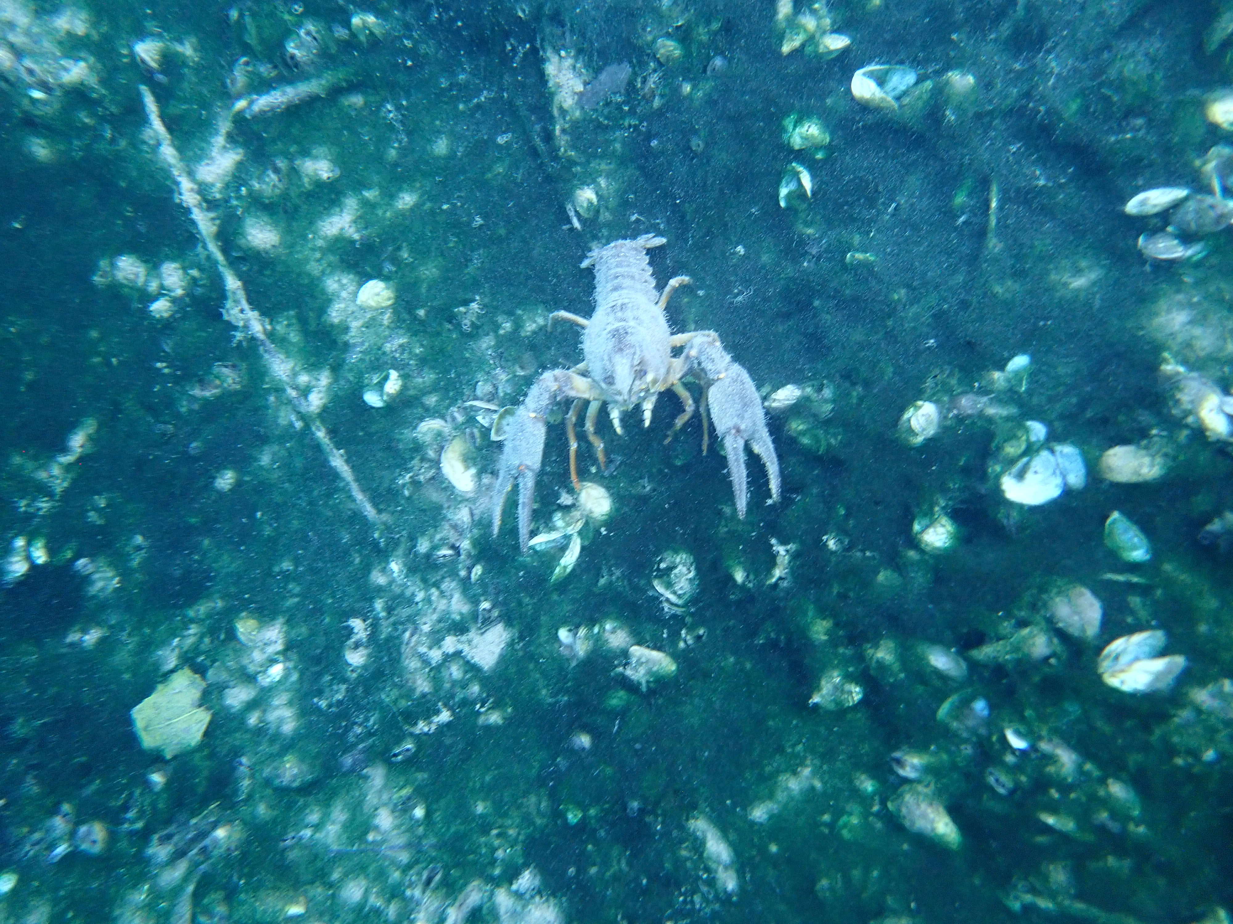 P8120007