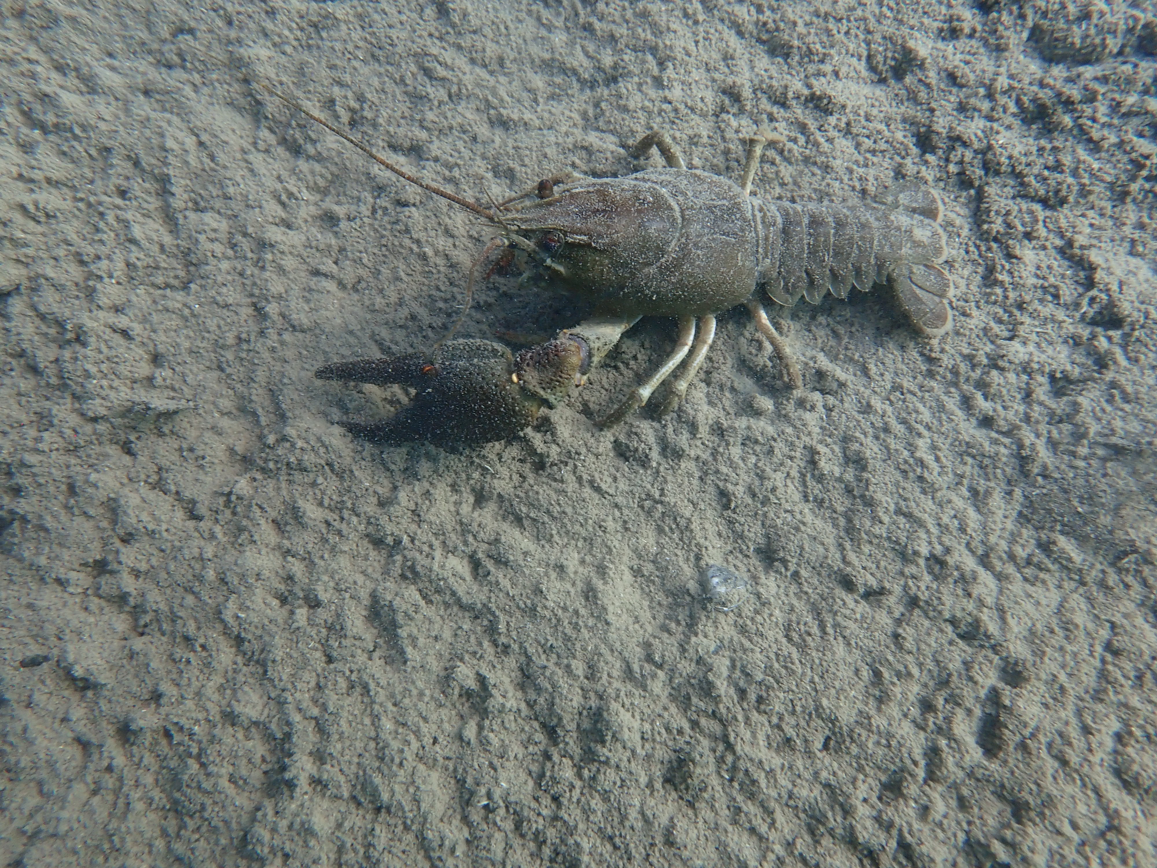 P8120017