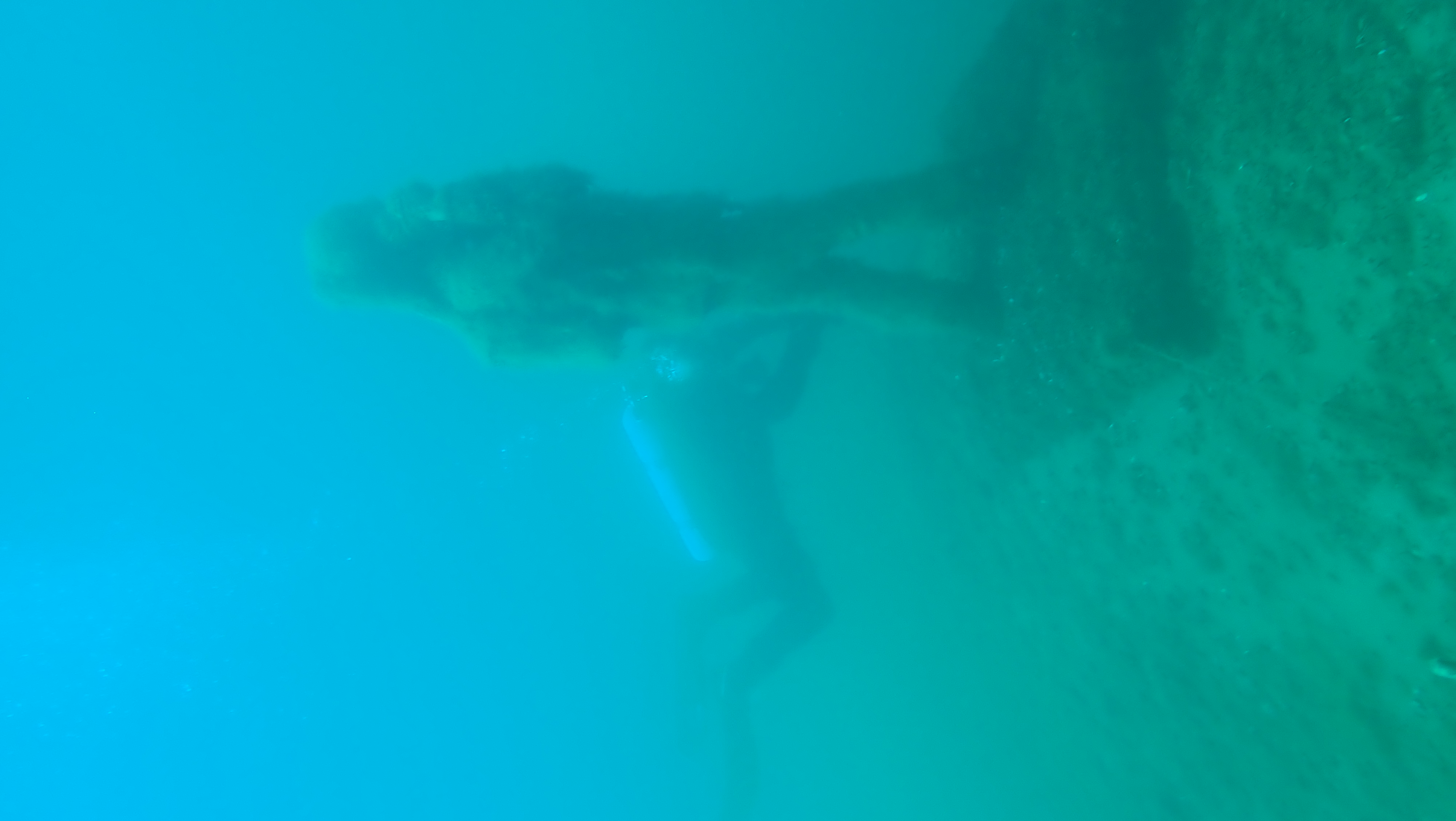 P8120032