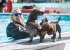 Hundeschwimmen250922mgo30  Castrop-Rauxel, Freibad. Hundeschwimmen.   25.09.2022  Foto: Martin Goldhahn : Städte, Kommunen, Schwimmbäder, Tiere, Hunde, Herbst